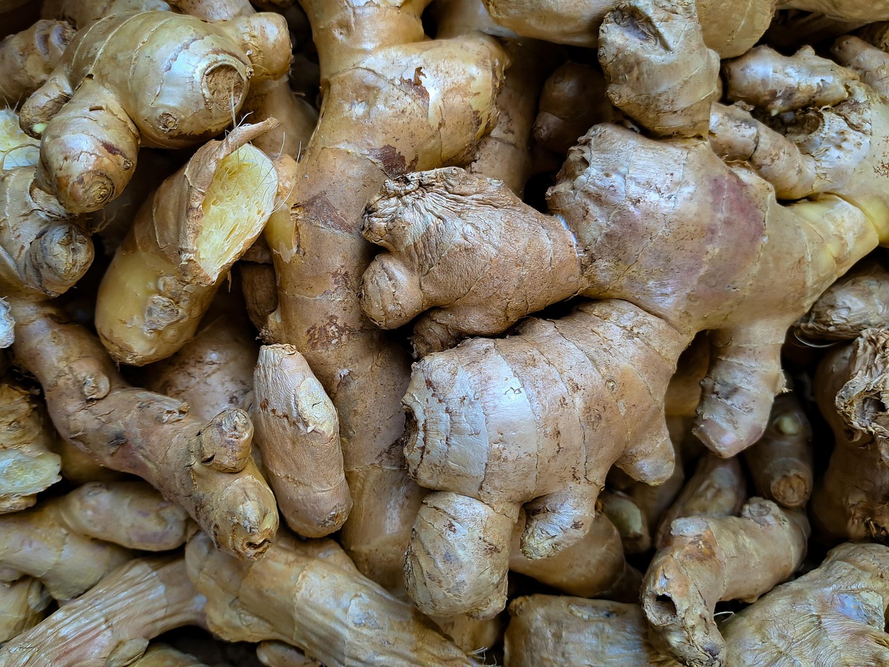 Fresh ginger root